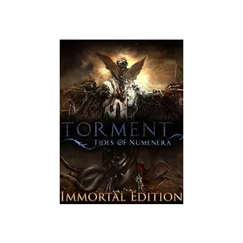 InXile Entertainment Torment Tides Of Numenera Immortal Edition PC Game